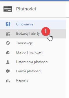 Wybór budżetu i alertów