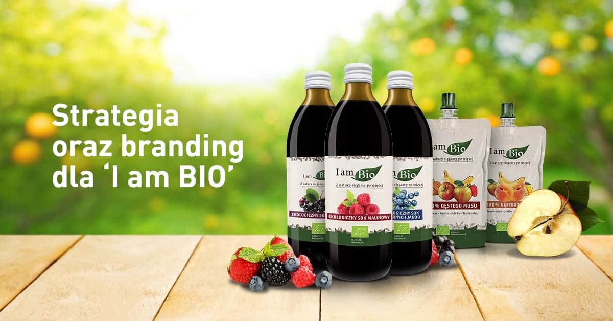 strategia oraz branding dla excellence - grafika tytułowa